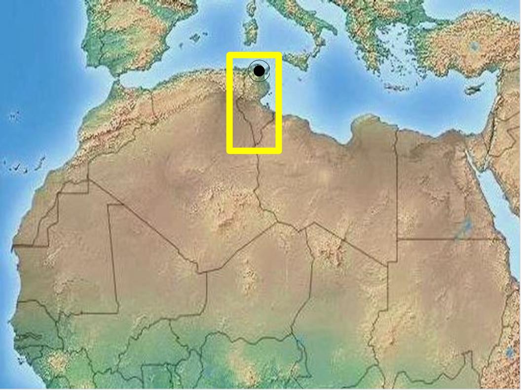 チュニジアマップ