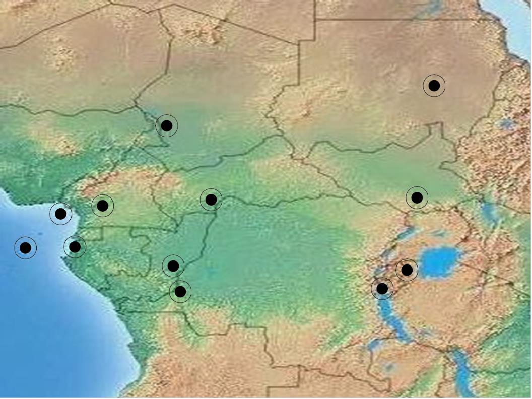 中央アフリカワクワクマップ