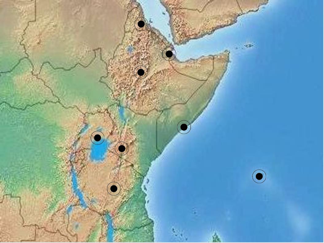 東アフリカワクワクマップ