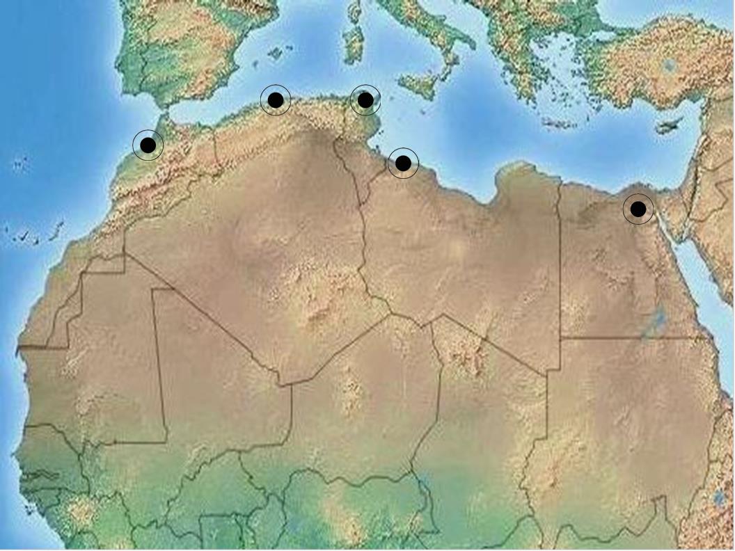 北アフリカワクワクマップ