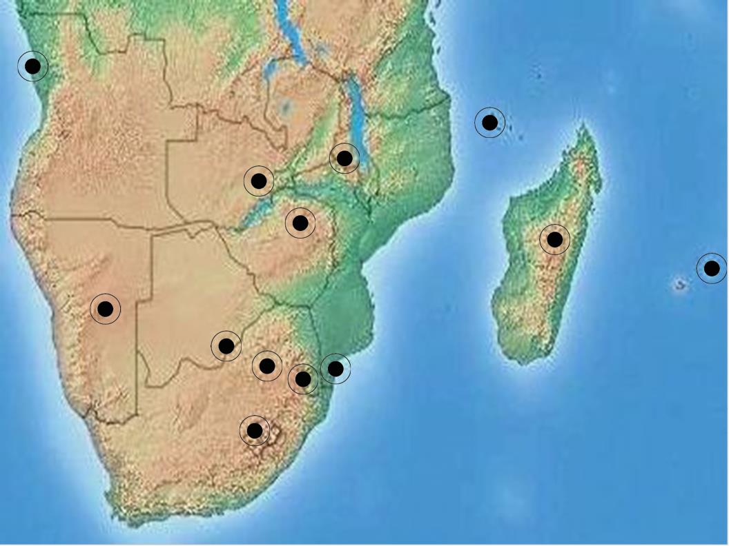 南アフリカワクワクマップ