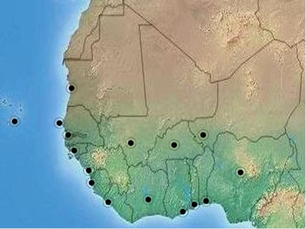 西アフリカワクワクマップ